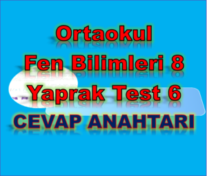 Ortaokul Fen Bilimleri 8. Sınıf Yaprak Test 6 – Basınç / Fiziksel Olaylar - CEVAP ANAHTARI