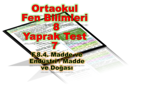 Ortaokul Fen Bilimleri 8. Sınıf Yaprak Test 7 - Madde ve Endüstri / Madde ve Doğası