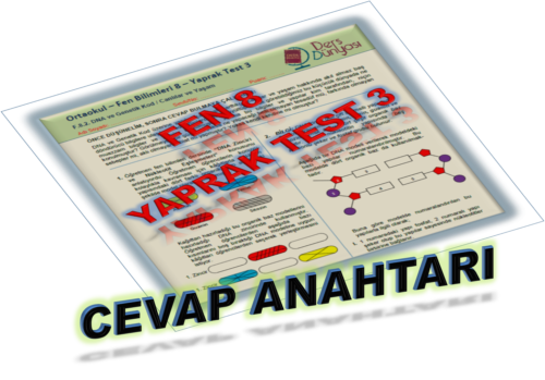 Ortaokul Fen Bilimleri 8 Yaprak Test 3 - CEVAP ANAHTARI