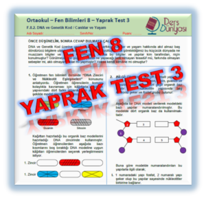 Fen Bilimleri 8. Sınıf DNA ve Genetik Kod Canlılar ve Yaşam Yaprak Test 3