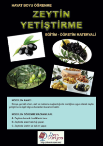 Zeytin Yetiştiriciliği