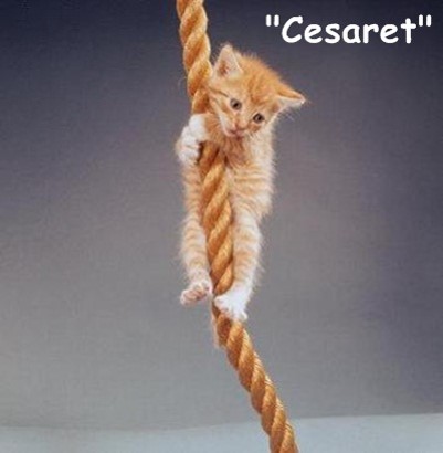 Cesaret