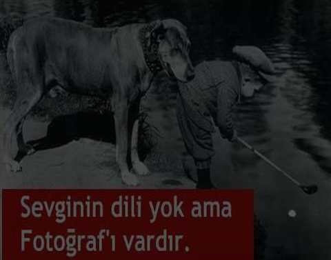 Sevginin dili yok, ama fotoğrafı vardır