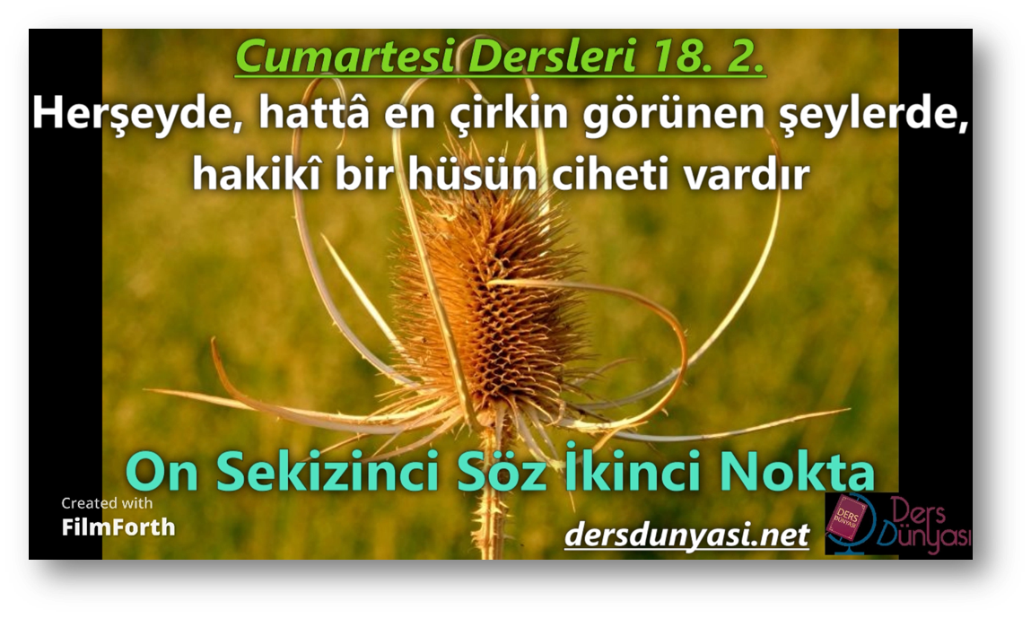 Herşeyde, hattâ en çirkin görünen şeylerde, hakikî bir hüsün ciheti vardır - Cumartesi Dersleri 18. 2.
