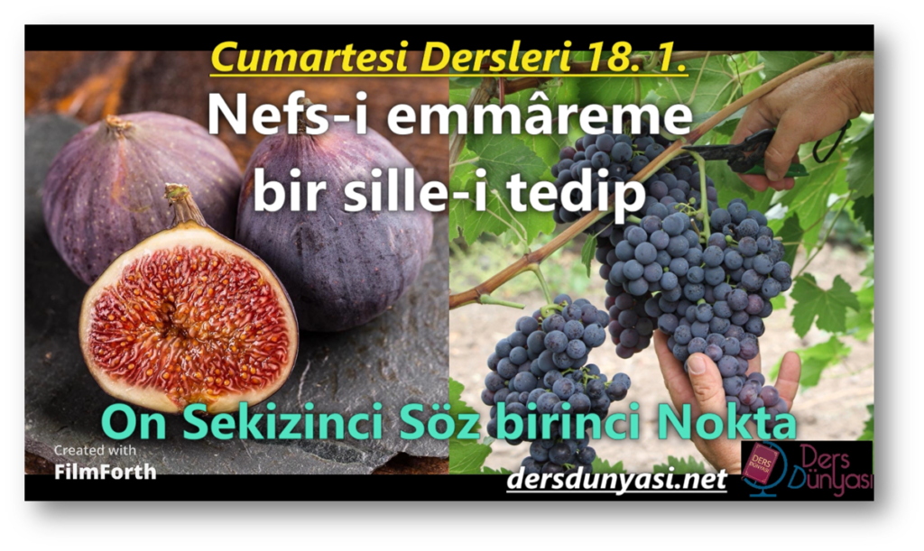 Nefs-i emmâreme bir sille-i tedip - On Sekizinci Söz Birinci Nokta - Cumartesi Dersleri 18. 1.