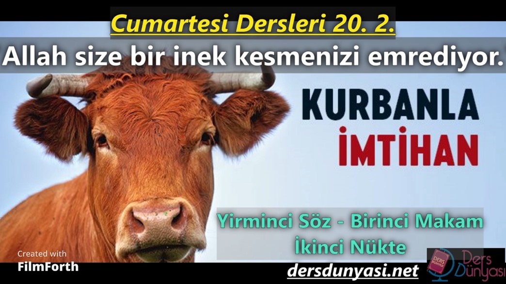 Allah size bir inek kesmenizi emrediyor. Bakara Sûresi, 267. - Cumartesi Dersleri 20. 2.