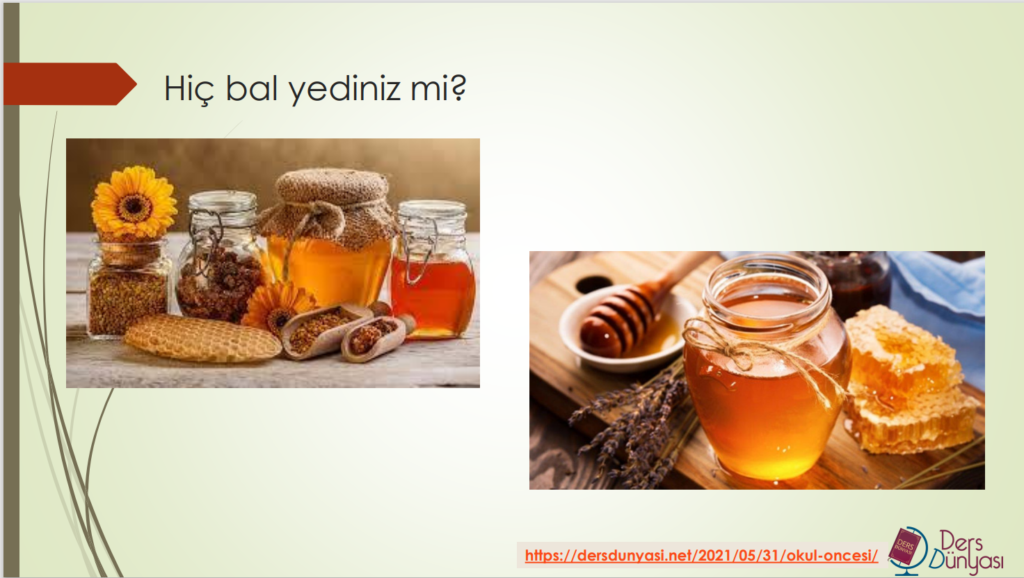 Hiç bal yediniz mi?