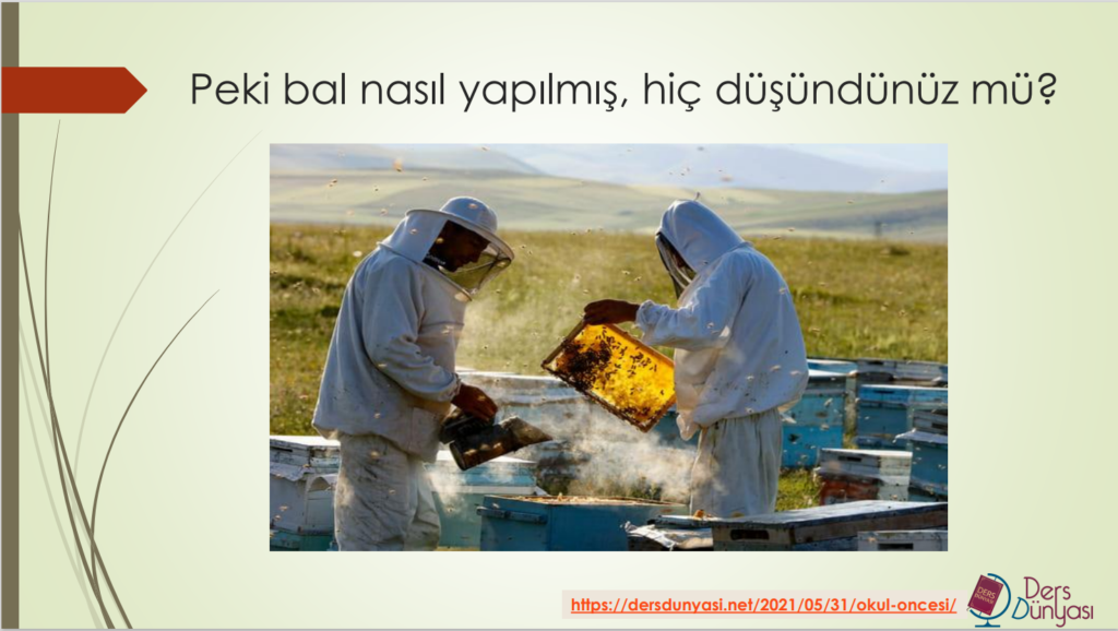 Peki bal nasıl yapılmış, hiç düşündünüz mü?