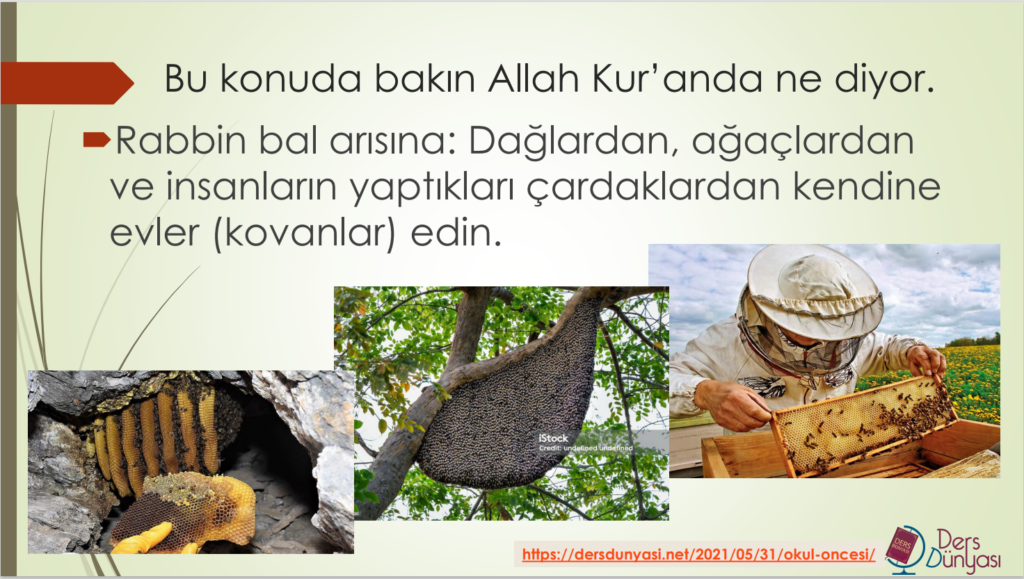 Bu konuda bakın Allah Kur’anda ne diyor. ´Rabbin bal arısına: Dağlardan, ağaçlardan ve insanların yaptıkları çardaklardan kendine evler (kovanlar) edin.