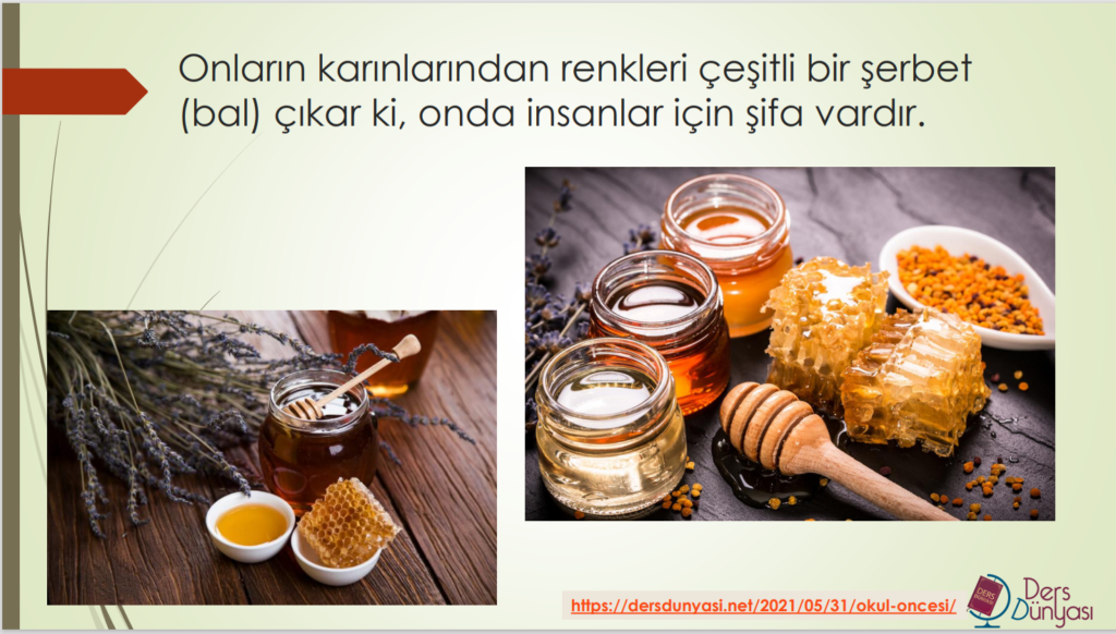 Onların karınlarından renkleri çeşitli bir şerbet (bal) çıkar ki, onda insanlar için şifa vardır.