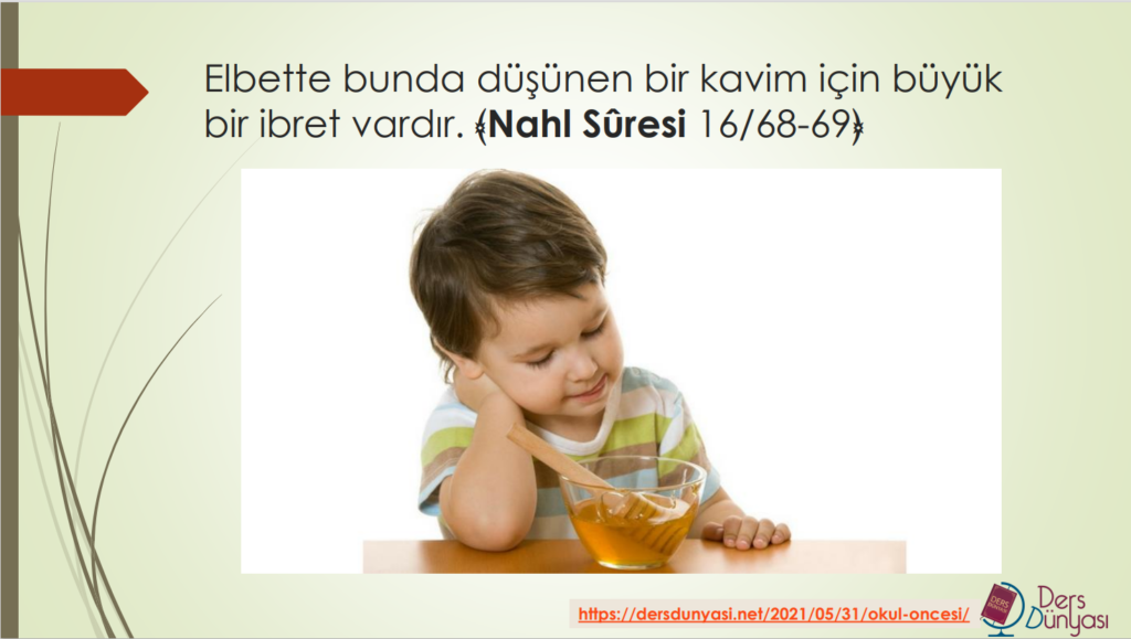 Elbette bunda düşünen bir kavim için büyük bir ibret vardır. ﴾Nahl Sûresi 16/68-69﴿