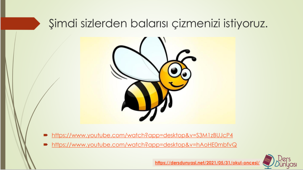 Şimdi sizlerden balarısı çizmenizi istiyoruz.
