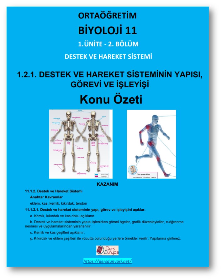 Biyoloji 11. Sınıf DESTEK VE HAREKET SİSTEMİNİN YAPISI, GÖREVİ VE İŞLEYİŞİ Konu Özeti