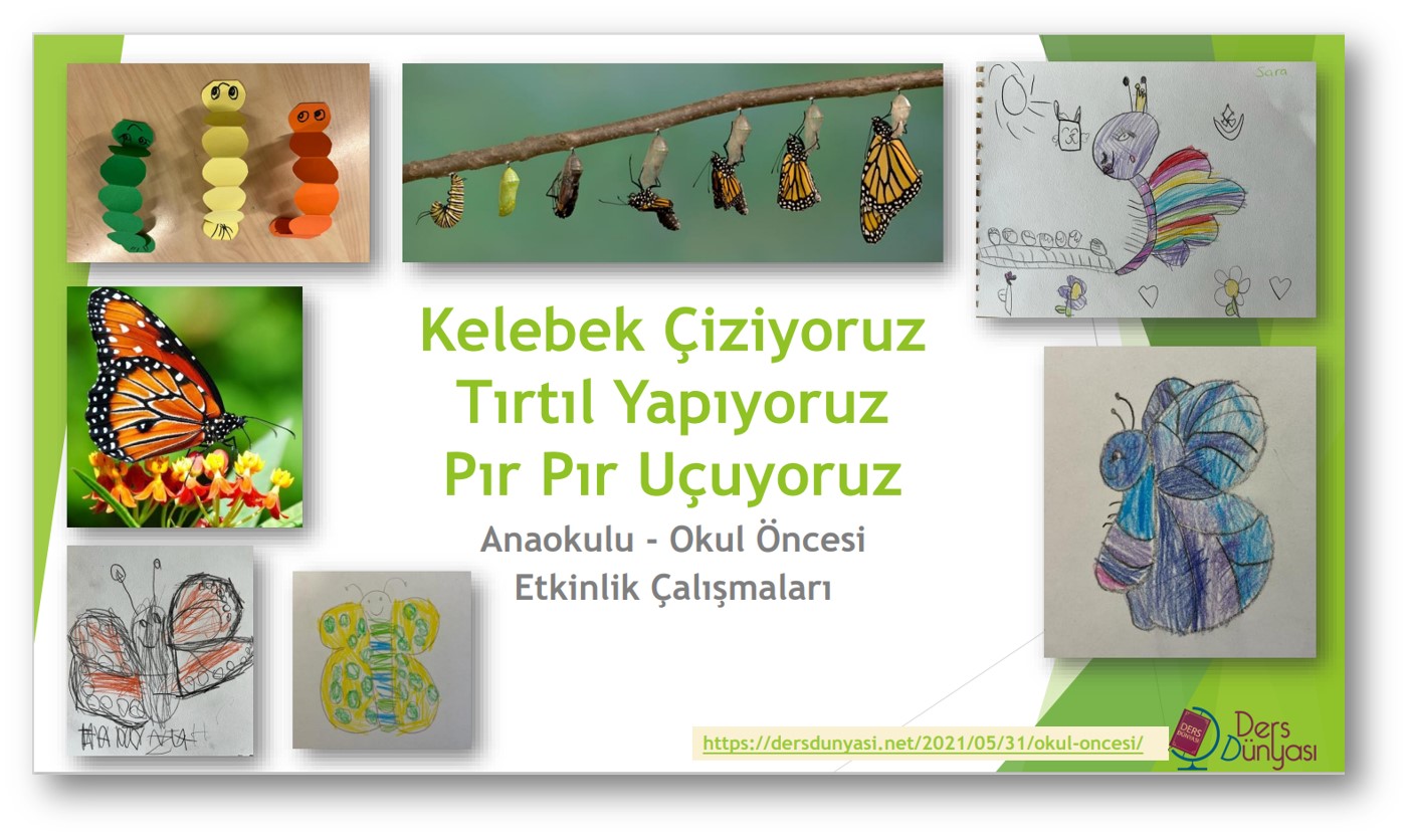 Kelebek Çiziyoruz Tırtıl Yapıyoruz Pır Pır Uçuyoruz - Anaokulu - Okul Öncesi Etkinlik Çalışmaları