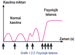 Fizyolojik tetanos (kramp)