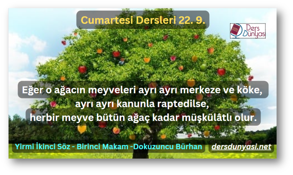 Eğer o ağacın meyveleri ayrı ayrı merkeze ve köke, ayrı ayrı kanunla raptedilse, herbir meyve bütün ağaç kadar müşkülâtlı olur. - Cumartesi Dersleri 22. 9.