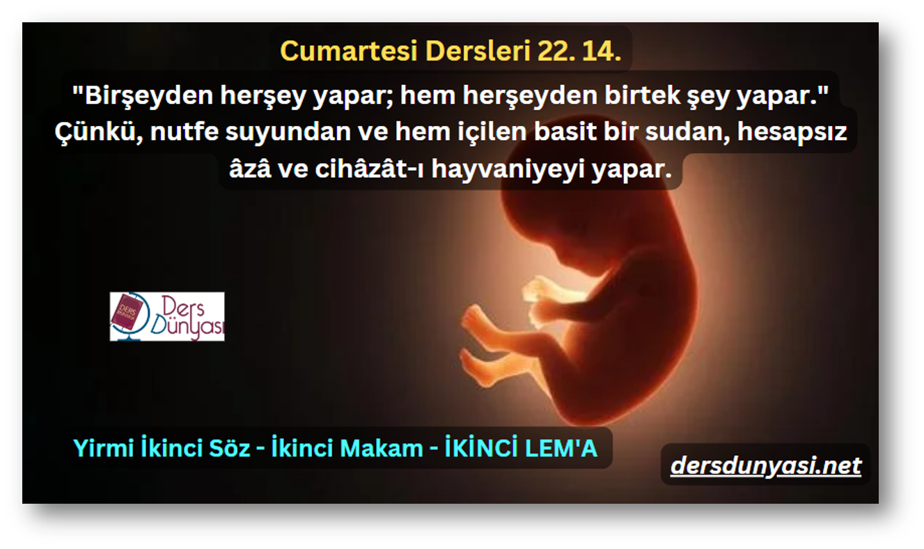 "Birşeyden herşey yapar; hem herşeyden birtek şey yapar." Çünkü, nutfe suyundan ve hem içilen basit bir sudan, hesapsız âzâ ve cihâzât-ı hayvaniyeyi yapar. - Cumartesi Dersleri 22. 14.