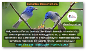 Bak, nasıl sahife-i arz üstünde Zât-ı Ehad-i Samedin hâtemlerini az dikkatle görebilirsin. Başını kaldır, gözünü aç, şu kâinat kitab-ı kebirine bir bak. Göreceksin ki, o kâinatın heyet-i mecmuası üstünde, büyüklüğü nisbetinde bir vuzuhla hâtem-i vahdet okunuyor. - Cumartesi Dersleri 22. 20.