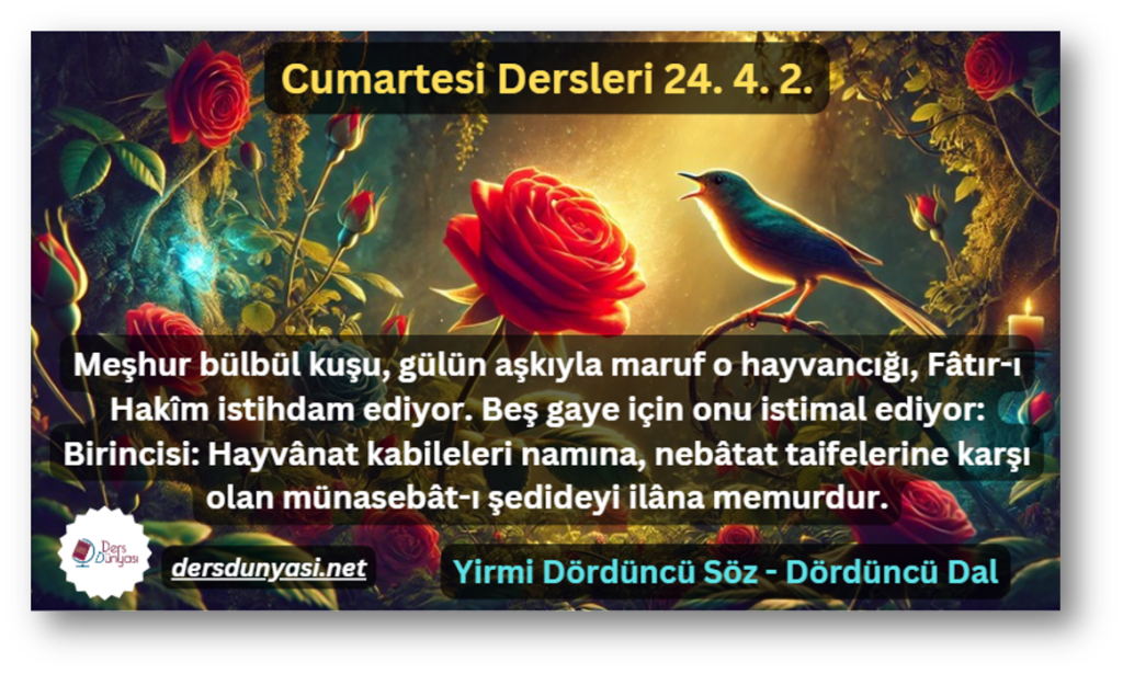 Meşhur bülbül kuşu, gülün aşkıyla maruf o hayvancığı, Fâtır-ı Hakîm istihdam ediyor. Beş gaye için onu istimal ediyor Birincisi Hayvânat kabileleri namına, nebâtat taifelerine karşı olan münasebât-ı şedideyi ilâna memurdur. - Cumartesi Dersleri 24. 4. 2.