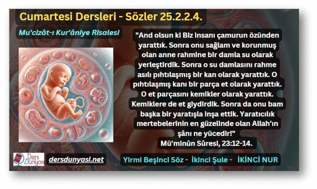 "And olsun ki Biz insanı çamurun özünden yarattık. Sonra onu sağlam ve korunmuş olan anne rahmine bir damla su olarak yerleştirdik. Sonra o su damlasını rahme asılı pıhtılaşmış bir kan olarak yarattık. O pıhtılaşmış kanı bir parça et olarak yarattık. O et parçasını kemikler olarak yarattık. Kemiklere de et giydirdik. Sonra da onu bam başka bir yaratışla inşa ettik. Yaratıcılık mertebelerinin en güzelinde olan Allah'ın şânı ne yücedir!" Mü'minûn Sûresi, 23:12-14. - Sözler 25.2.2.4.